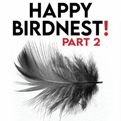 *HAPPY BIRDNEST* 1 YEAR PODCAST [Part Two : Night Flight]