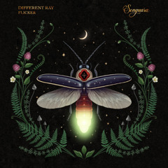 PREMIERE: Different Ray - Flicker [Songuara]