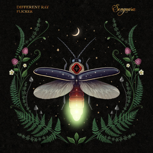 PREMIERE: Different Ray - Flicker [Songuara]