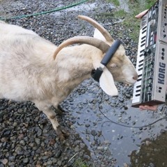 RMX