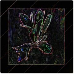 Marty Andersson: True Self (feat. Kenny Dyer)