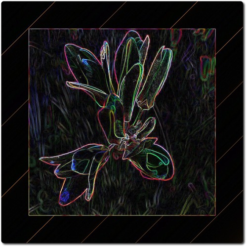 Marty Andersson: True Self (feat. Kenny Dyer)