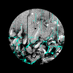 𝙋𝙍𝙀𝙈𝙄𝙀𝙍𝙀 | Diazepin - Binary Cake [LBRNM35]