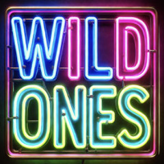 Wild Ones - Jessie Murph x Jelly Roll (Bad Weather Disco Remix)