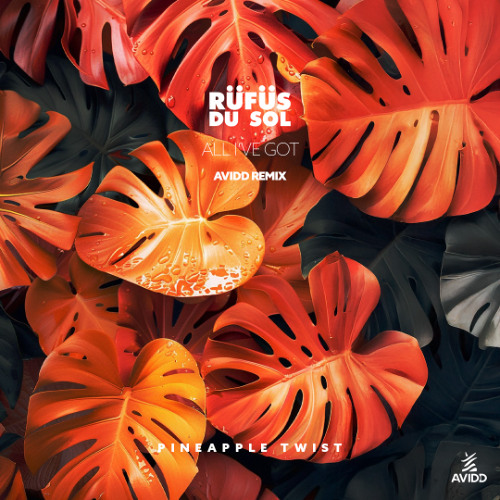 Rüfüs Du Sol - All I've Got (Avidd Remix) [EXTENDED FREE DL]