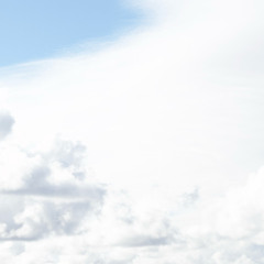 dus†rigs (year of the horse)