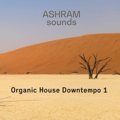 ASHRAM Organic House Downtempo 1 (Sample Pack Demo Song)