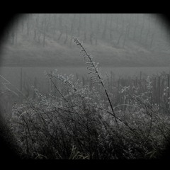 Windgesang (Experiment)