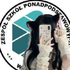 ZSP NIEMCE TRACK