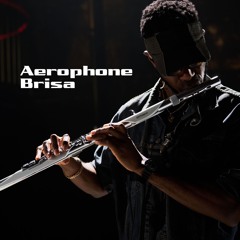 Aerophone Brisa Sound Demo - Jazz Scat 1