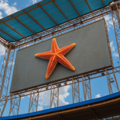 Sky Screen