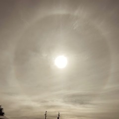 Black Star  (Radiohead)