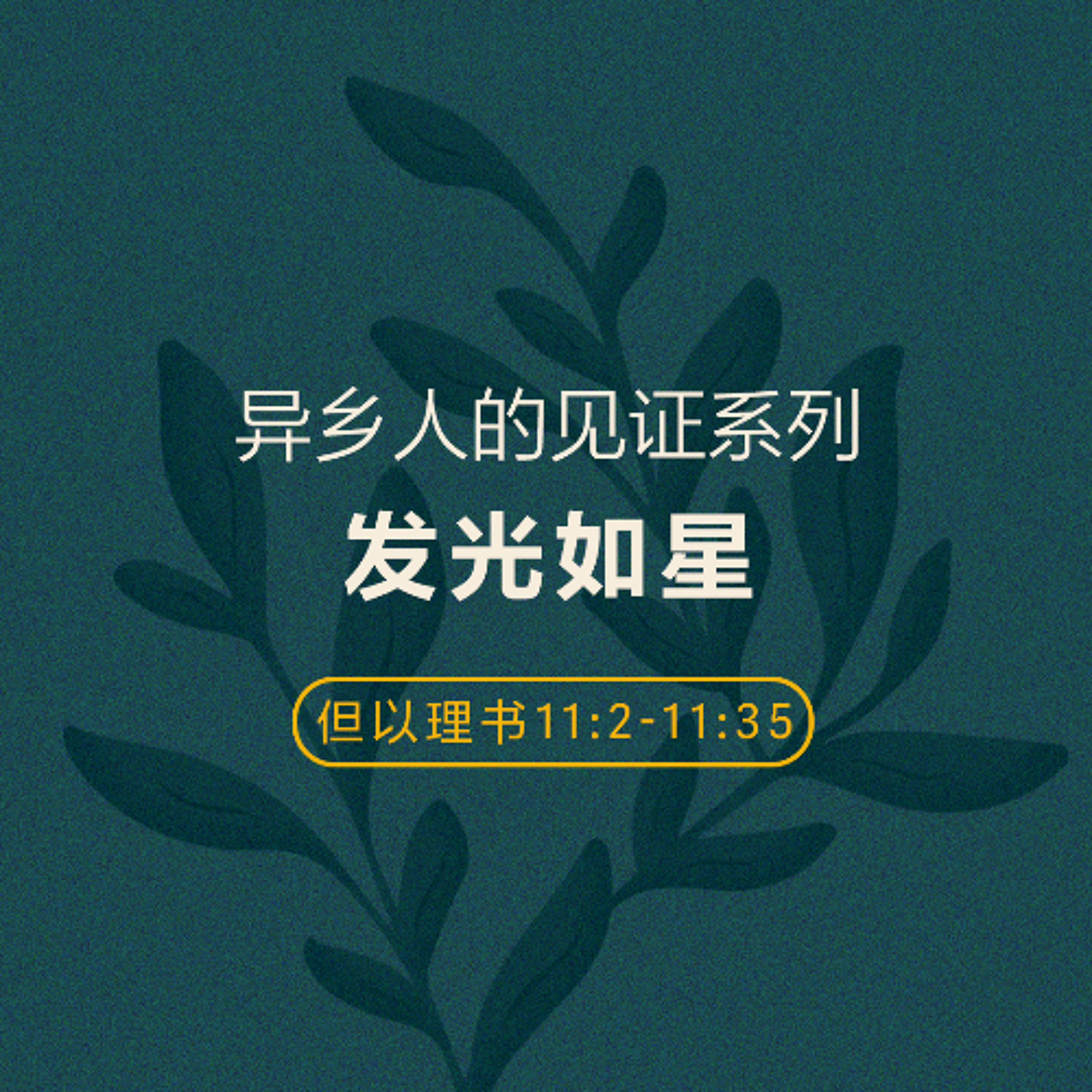 08/17/2025 【异乡人的见证】发光如星（但 11:2-11:35） —— 王唯权 牧师