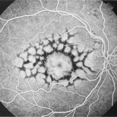 K9//GUENOUILL - [[[ Pills ///