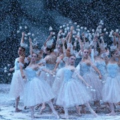 Tchaikovsky - Dance of the Sugar Plum Fairy (j-strung REMIX)