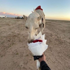 ياسعود أنا متبوع