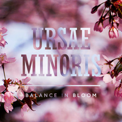 Balance in Bloom