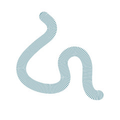 Boomerang