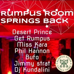 Rumpus Room: Spring's Back Live Mix September 2024 126bpm