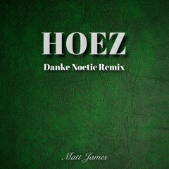 Hoez Remix (Prod. Danke Noetic)