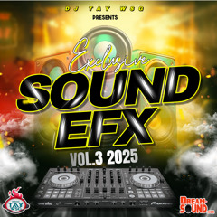 DJ TAY WSG - EXCLUSIVE SOUND EFX VOL.3 2025 (AUDIO PREVIEW)