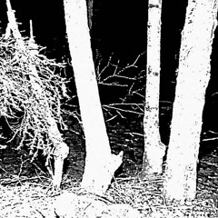 looking for something that doesnt exist