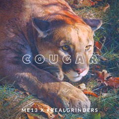 Cougar (ft. Real Grinders)