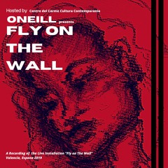 Fly on The Wall (Audio only)