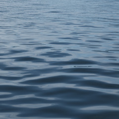 In The Deep - Official Song