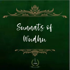 4. Sunnats of Wudhū