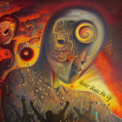 Never Wake Me Up (remaster)