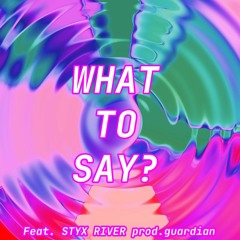 WHAT TO SAY? (feat. STYX RIVER) (prod. guardian)