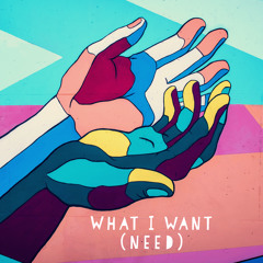 What I want (need)
