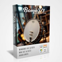 Banjo V3 - Demo 1