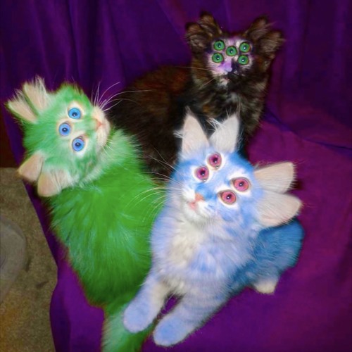 Stevie Wonder (FIFI) prod. orheezyx