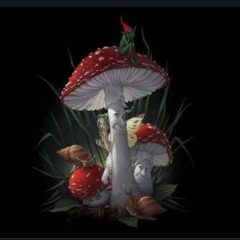 PSYLOCYBIN  TRIP PLAYLIST
