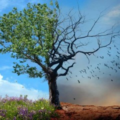 0386 Вивчаємо  Левит 26 1-46 Благословення і прокляття