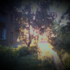 til we meet again (sam callisto)