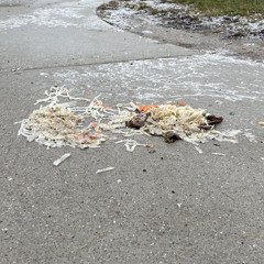 the end of the world voice memo demo shortened (the burden of a paralyzed soul in a fighting world)