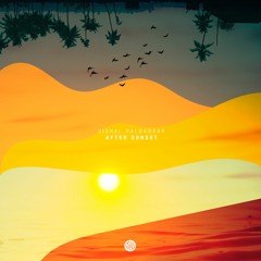 Vishal Haldankar - After Sunset (Original Mix) [Minded Music]