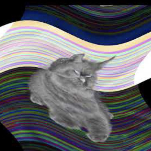 Stream corrupted little grey cat theme by soda can Listen online for