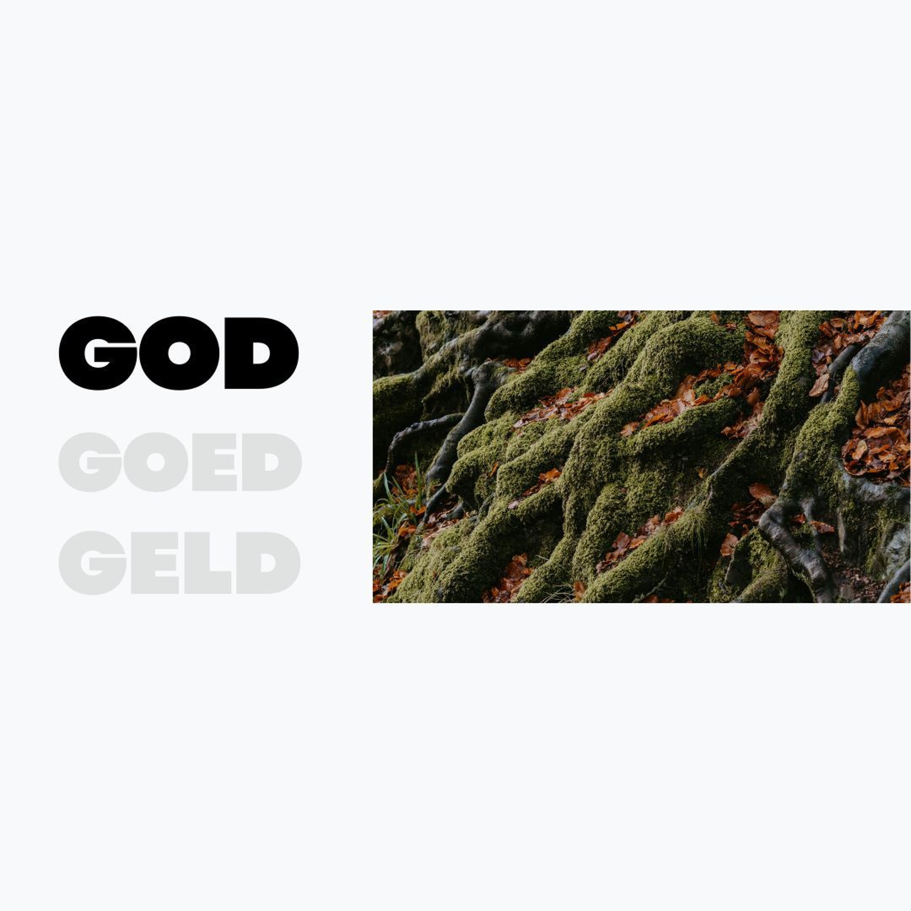 GOD Goed Geld deur Frieda van den Heever