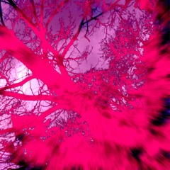 Hard Grooves for when your mom disapproves