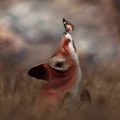 JokerFox - This Too Shall Pass (300bpm)
