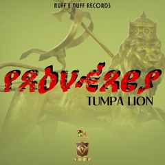 Proverbs Tumpa Lion