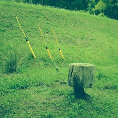 Log_20230511（demo）