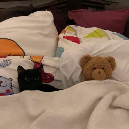 CURTIS MAYFIELD   I LOVED & I LOST