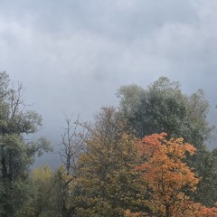 Püüdes koidikut/Catching the dawn