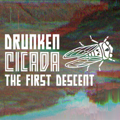 The First Descent