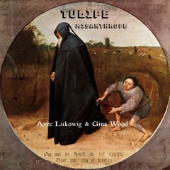 Misanthrope II ( Avec Lukowig  )